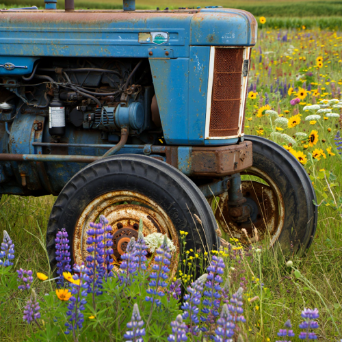 rustic tractor in field